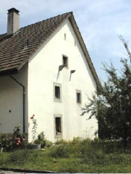 Grossansicht